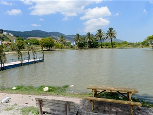 דג בכפר - פארק דייג